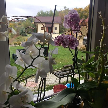 Cabana 7 Brazi Poiana Mărului Exterior foto