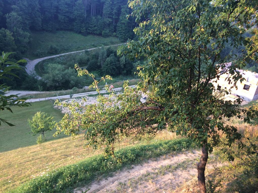 Cabana 7 Brazi Poiana Mărului Exterior foto