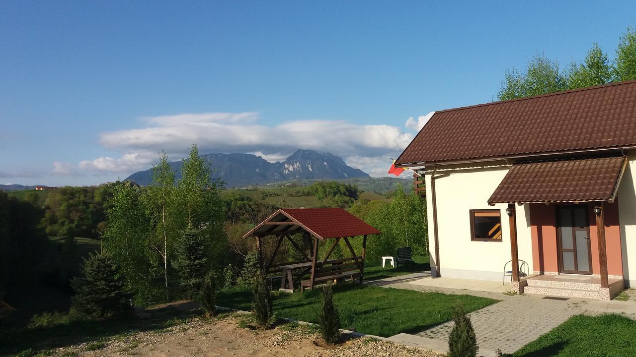 Cabana 7 Brazi Poiana Mărului Exterior foto